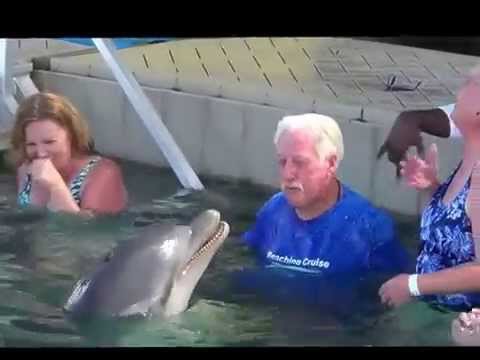 イルカとおじいちゃんの真剣勝負に笑いが止まらない